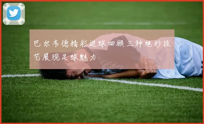 巴尔韦德精彩进球回顾三种绝妙技艺展现足球魅力